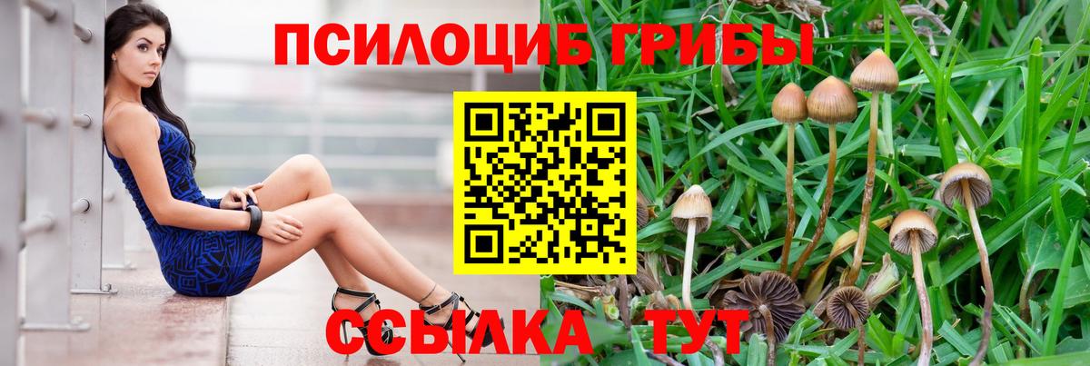 Галлюциногенные грибы Psilocybe  Вход с VPN  Орёл 